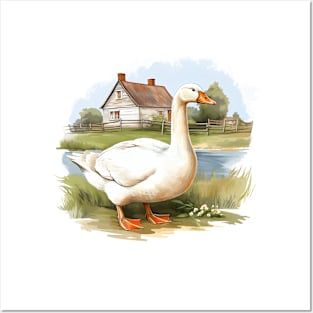 White Goose Posters and Art